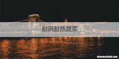 耐阴耐热蔬菜