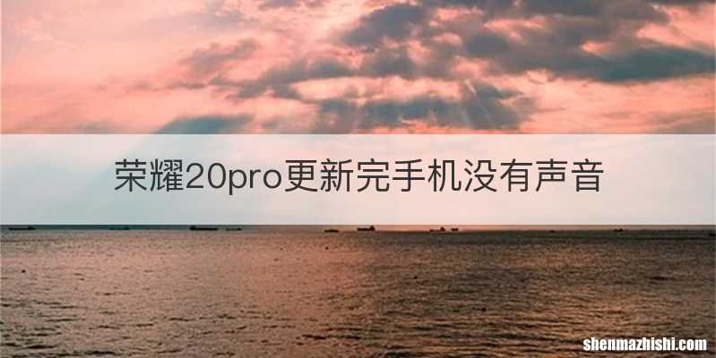荣耀20pro更新完手机没有声音