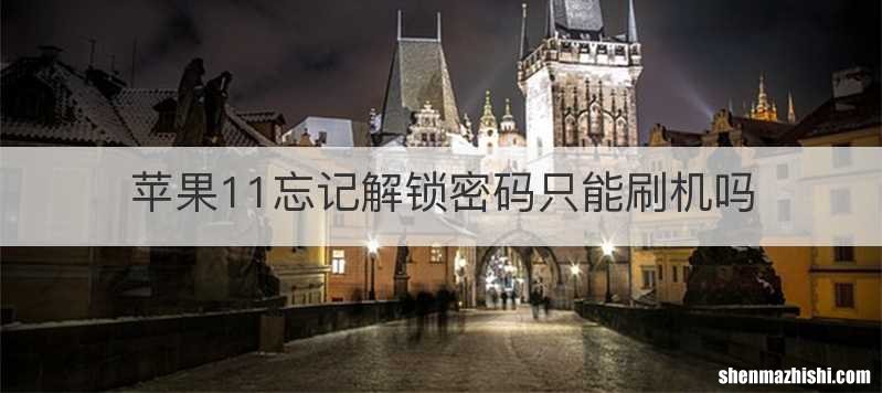 苹果11忘记解锁密码只能刷机吗