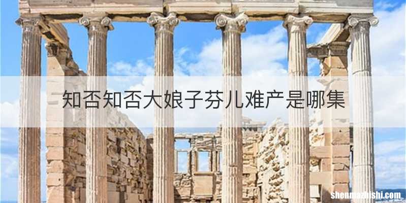 知否知否大娘子芬儿难产是哪集