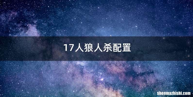 17人狼人杀配置