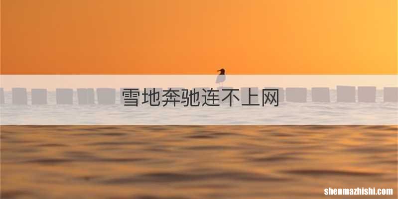 雪地奔驰连不上网