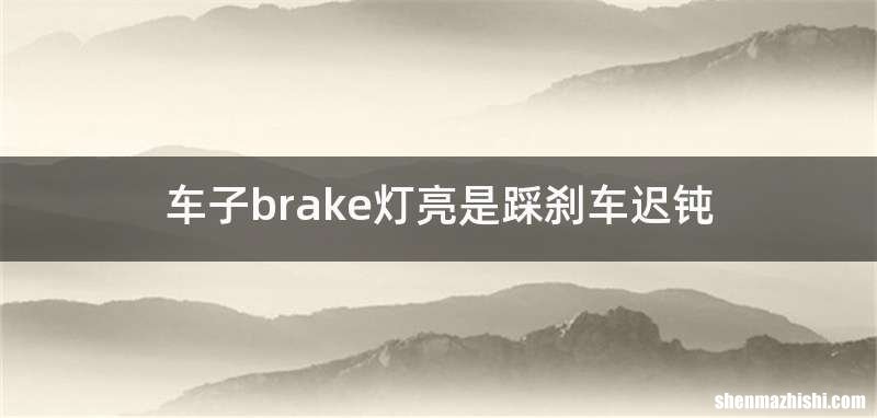车子brake灯亮是踩刹车迟钝