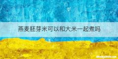 燕麦胚芽米可以和大米一起煮吗