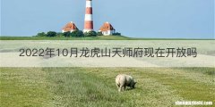 2022年10月龙虎山天师府现在开放吗