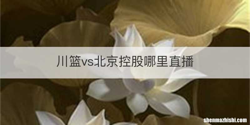 川篮vs北京控股哪里直播