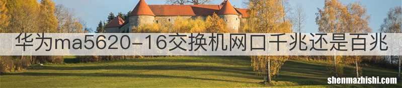 华为ma5620-16交换机网口千兆还是百兆