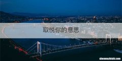 取悦你的意思