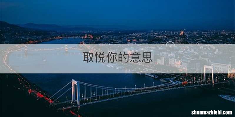 取悦你的意思