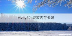 vivoy52s能放内存卡吗