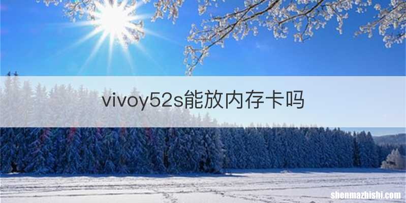 vivoy52s能放内存卡吗