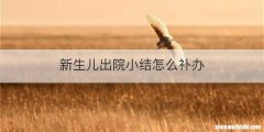 新生儿出院小结怎么补办