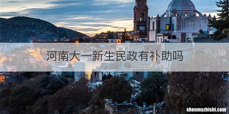 河南大一新生民政有补助吗