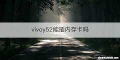 vivoy52能插内存卡吗