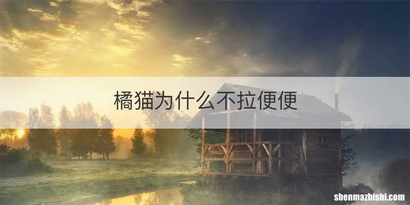 橘猫为什么不拉便便
