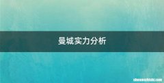 曼城实力分析