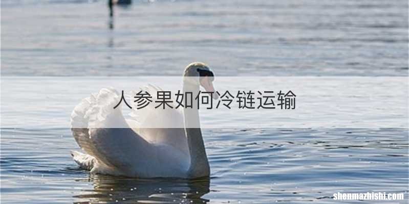 人参果如何冷链运输