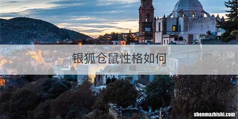银狐仓鼠性格如何
