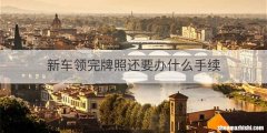 新车领完牌照还要办什么手续