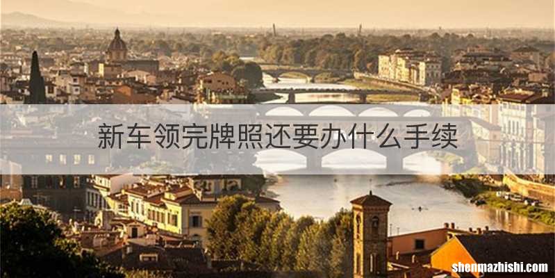 新车领完牌照还要办什么手续