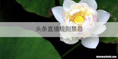 头条直播规则禁忌