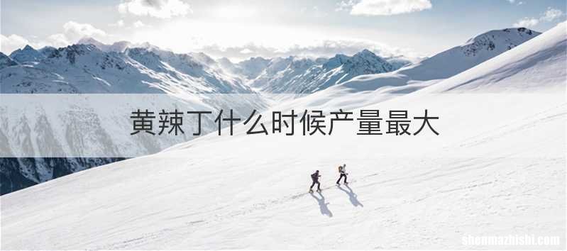 黄辣丁什么时候产量最大