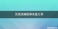 贝克汉姆的球衣是几号