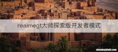 realmegt大师探索版开发者模式