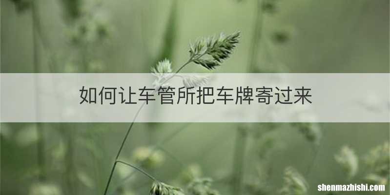 如何让车管所把车牌寄过来