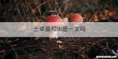 士卓曼和iti是一家吗