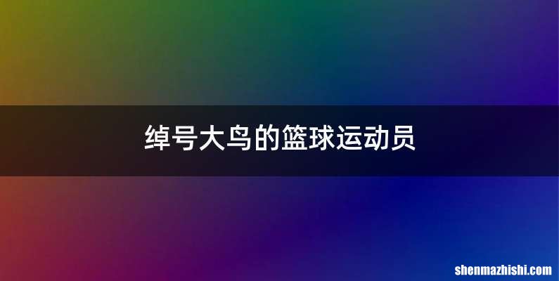 绰号大鸟的篮球运动员