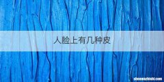 人脸上有几种皮
