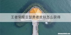 王者荣耀亚瑟勇者皮肤怎么获得