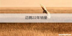 迈腾22年销量