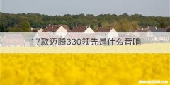 17款迈腾330领先是什么音响