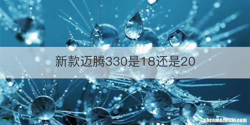新款迈腾330是18还是20