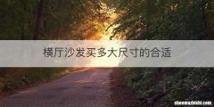 横厅沙发买多大尺寸的合适
