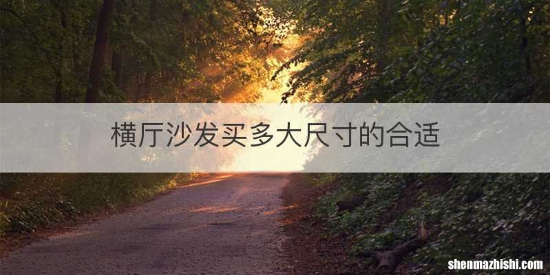 横厅沙发买多大尺寸的合适