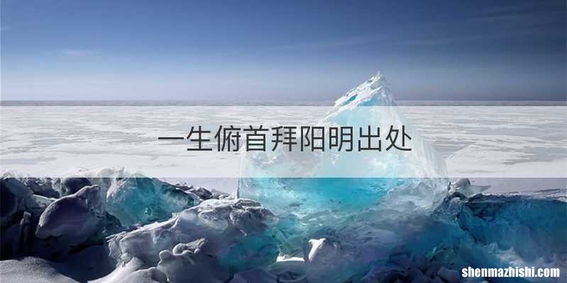 一生俯首拜阳明出处