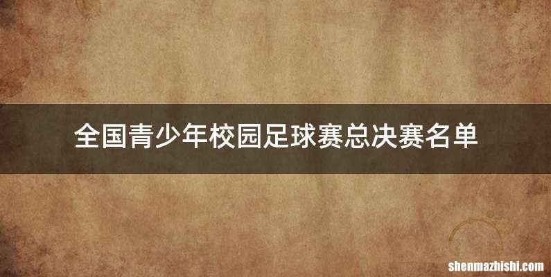 全国青少年校园足球赛总决赛名单