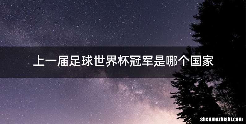 上一届足球世界杯冠军是哪个国家