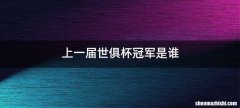 上一届世俱杯冠军是谁