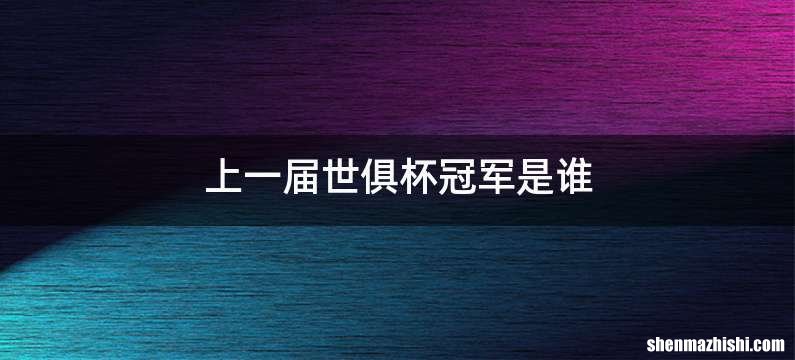 上一届世俱杯冠军是谁