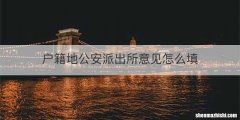户籍地公安派出所意见怎么填