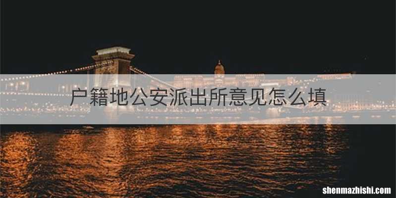 户籍地公安派出所意见怎么填