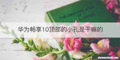华为畅享10顶部的小孔是干嘛的