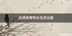 足球体育特长生的出路