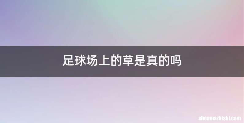 足球场上的草是真的吗