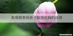 高情商表扬孩子取得优越的成绩