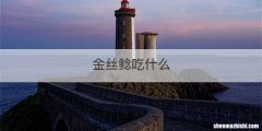 金丝鲶吃什么